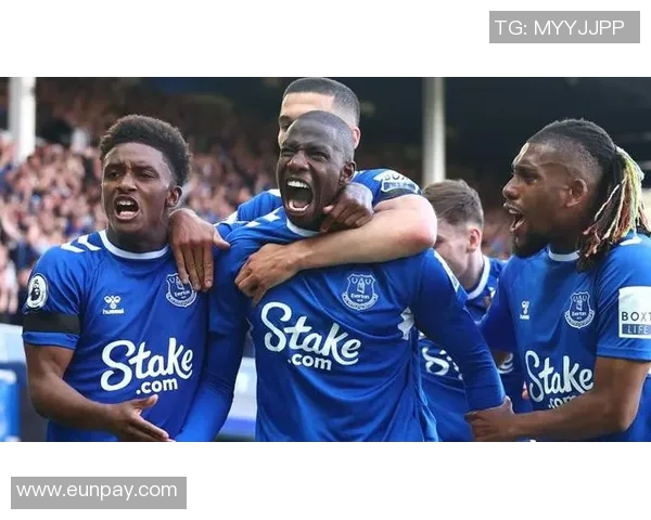 埃弗顿与水晶宫比赛因天气原因延期球迷期待新赛程安排