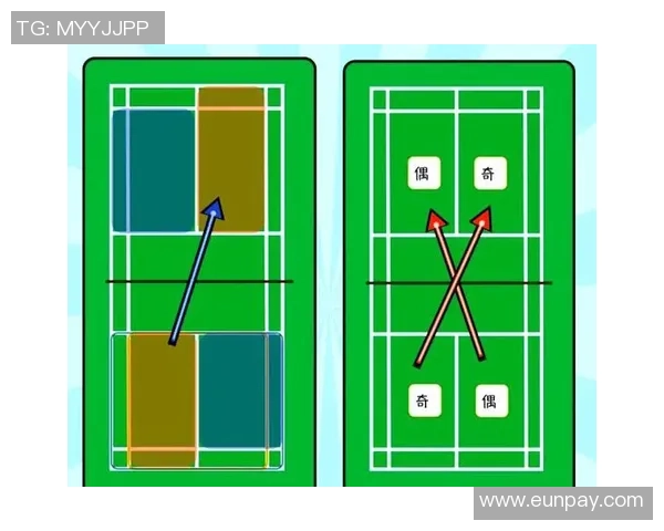 成都羽毛球队引领最新羽毛球战术TOP10解析与应用技巧分享