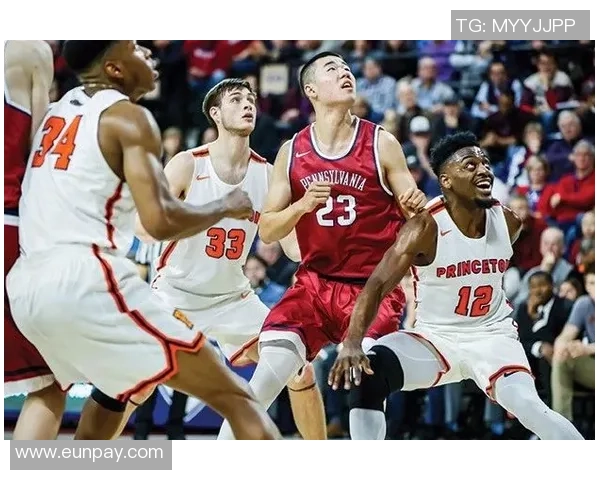 王泉泽:从年轻球员到篮球明星的成长之路与未来展望